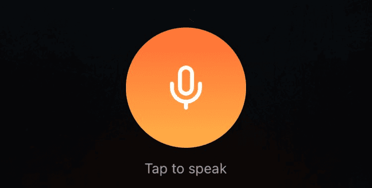 Voice Logging